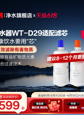 3M家用直饮净水器WT-D29型原装替换滤芯双子2000/WT-E20通用滤芯