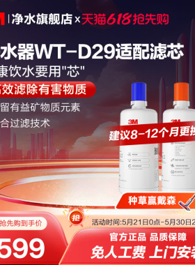3M家用直饮净水器WT-D29型原装替换滤芯双子2000/WT-E20通用滤芯