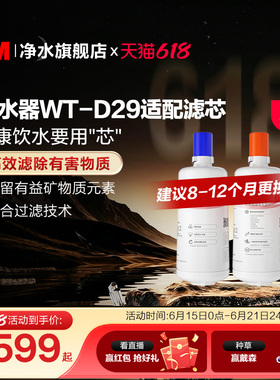 3M家用直饮净水器WT-D29型原装替换滤芯双子2000/WT-E20通用滤芯