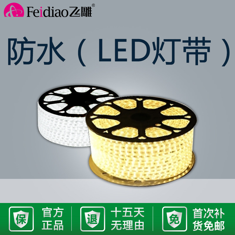 飞雕led灯带客厅吊顶线灯照明长条220v贴片户外超亮防水白光灯条