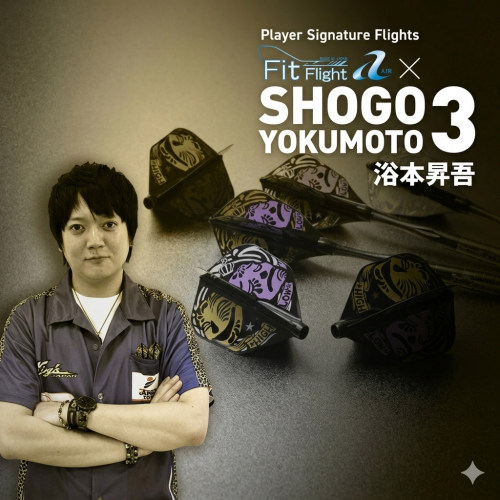 FitFlight飞镖翼Cosmo日本原装