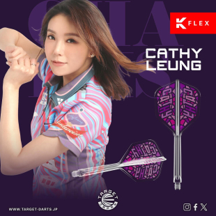 TARGET探极Cathy梁雨恩NO6一体翼K-FLEX小方形飞镖叶2BA接口通用