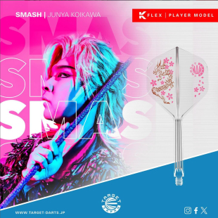 原装正品TARGET探极飞镖K-FLEX SMASH一体翼NO2大方叶2BA接口通用