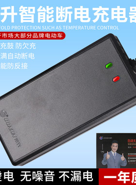 东升电动车充电器48V12AH20ah30ah40ah50ah60v72v20/32ah自动关机