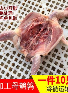 大母鹌鹑肉新鲜 现杀鹌鹑肉速冻 冷冻白条烧烤食材炖汤生骨肉10只