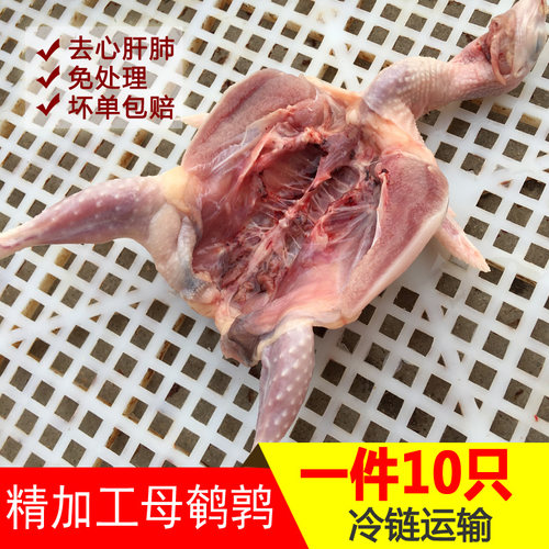 鹌鹑肉新鲜现杀鹌鹑肉烧烤食材