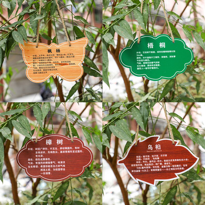 花草牌亚克力树牌植物绿化标识志牌树木介绍挂牌木广告牌定制做植物