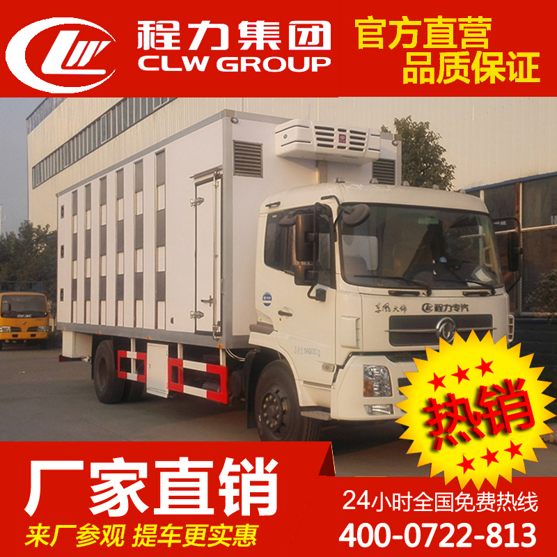 6.1米厢式冷藏运输车猪苗鸡苗保温车冷藏车冷冻车冷链车冷藏车