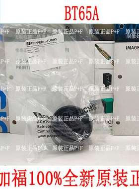原装德国 P+F BT65A