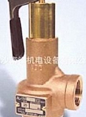 AL-150AL-150T蒸汽安全阀日本YOSHITAKE 耀希达凯安全阀