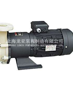 销售CQB100-80-125F(A)环氧脂肪氧酸辛酯防爆磁力泵 衬氟磁力泵1