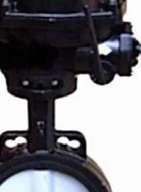 供应SEETOP大口径电动蝶阀