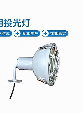 SGC-C300CR 792026 船用投光灯