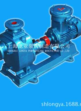 我厂VAREM-ZWP150-180-20防爆zw泵 ZW50-15-30Pzw化学污水泵厂家1