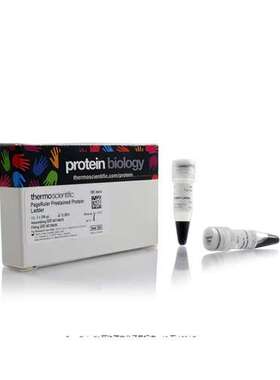 赛默飞 26616 Thermo PageRuler 预染蛋白分子量标准2x250μL