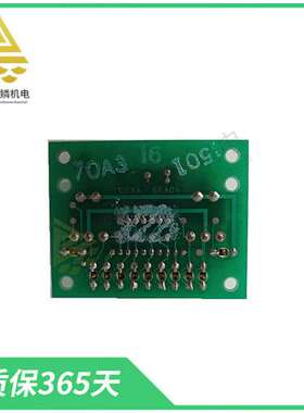 DS3800NPSE1L / IS200VTURH2BAC   采用双宽面板