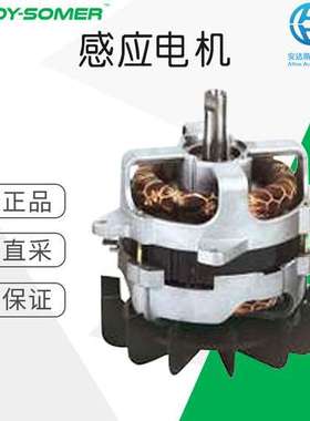 工厂直采 德国 LEROY SOMER 感应电机 多型号可询 D-D-P-D-PR