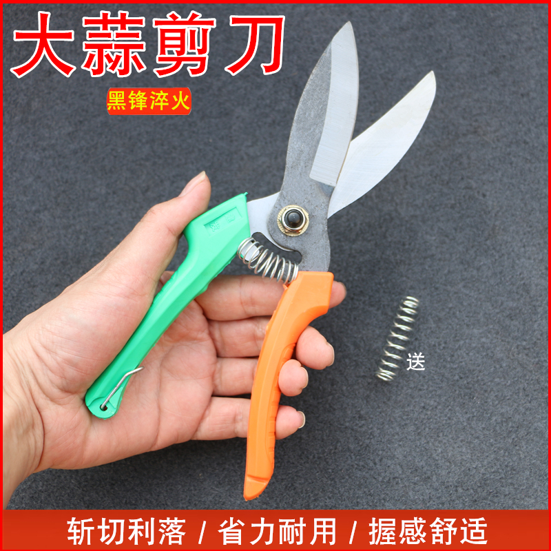 超能手大蒜专用剪刀锋利耐用款