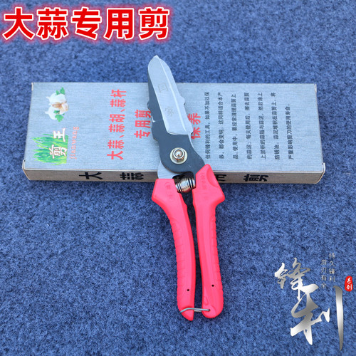锰钢大蒜专用剪刀锋利耐用