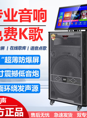 爱博声新款专业KTV音响广场舞K歌