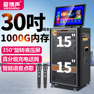 爱博声户外广场舞音响带显示屏大功率家用KTV移动一体机进口音箱