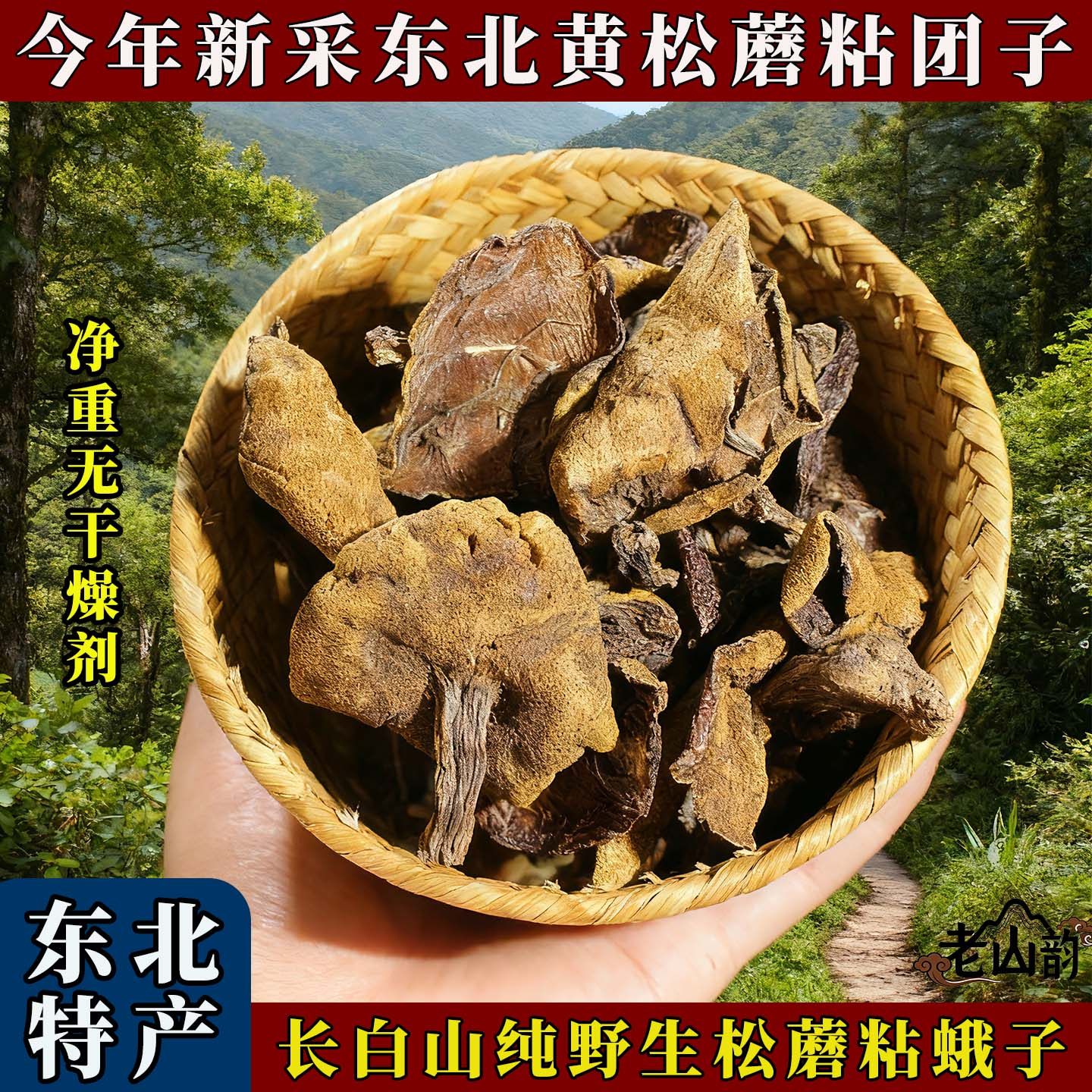 东北特产天然松蘑东北野生蘑菇干货粘团子松蛾子黑蘑菇特级黄松蘑