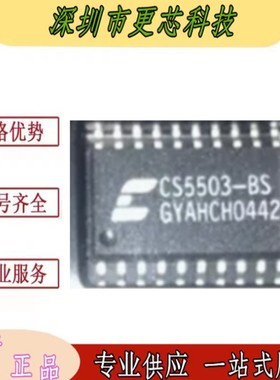 CS5503-BS 20位A/D转换器 SOP-20封装
