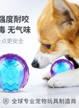 狗狗allGi成犬幼犬发声贵为Gwi训练发声橄榄球宠物玩具自嗨GB互动
