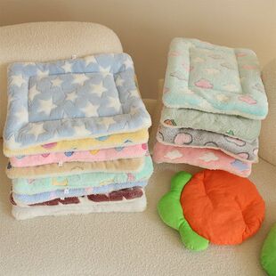 法兰绒加厚睡毛毯垫保暖寄养四季垫宠物厂家狗窝垫垫双面