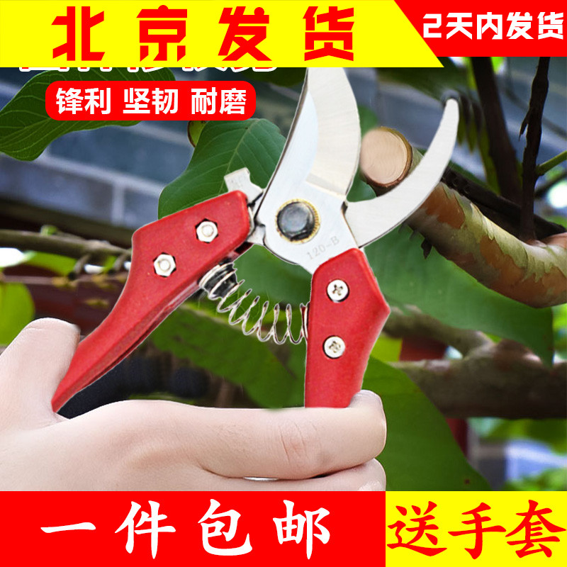 修枝剪剪枝剪绿植剪花木剪刀庭院修枝剪园艺剪刀果树剪粗枝剪包邮