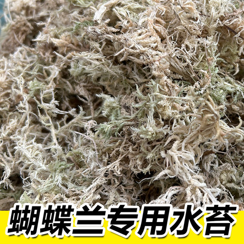 天然水苔干苔无菌苔藓营养土