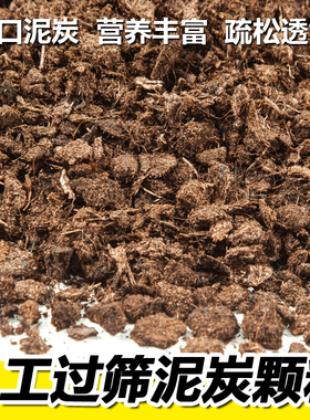 进口泥炭土整包分装多肉蔬菜花卉专用土通用过筛泥炭块腐殖质土