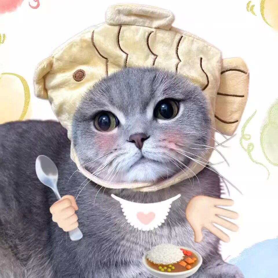 【条条日记】可爱搞怪宠物猫狗网红鲷鱼烧头套头饰拍照道具帽子
