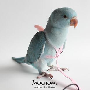 鹦鹉放飞绳背带式鹦鹉外出溜鸟训练绳超轻八哥飞行服飞行绳牵引绳