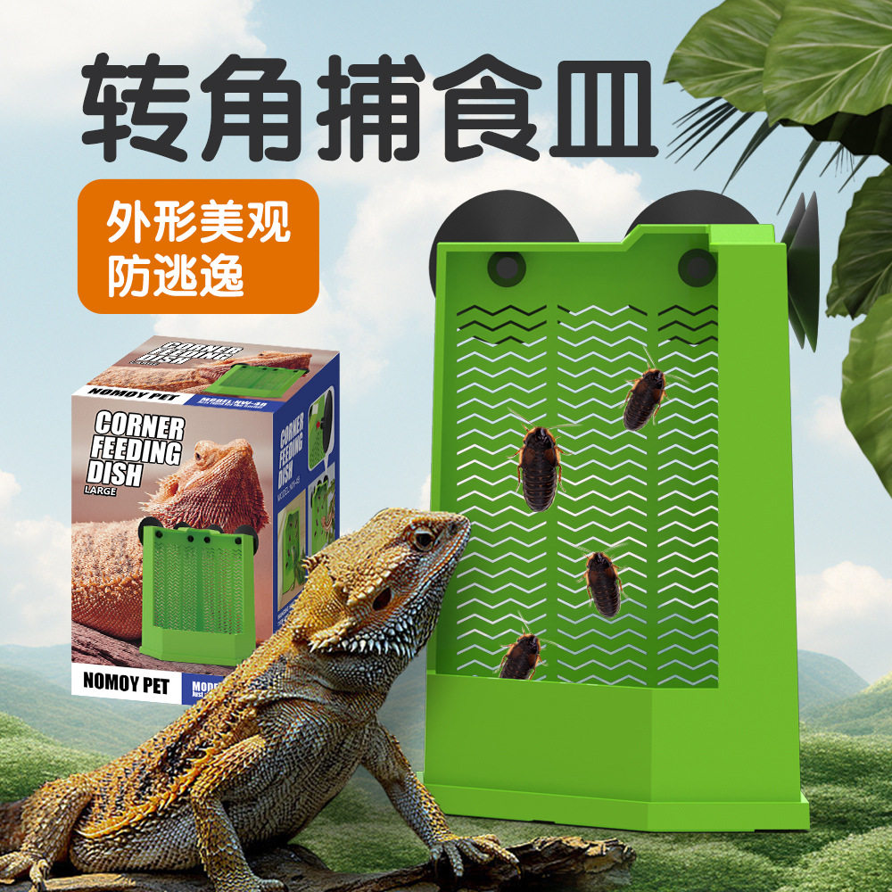 鬃狮蜥食盆爬宠爬缸吸盘挂壁式昆虫攀爬碗守宫变色龙树栖类诱食皿