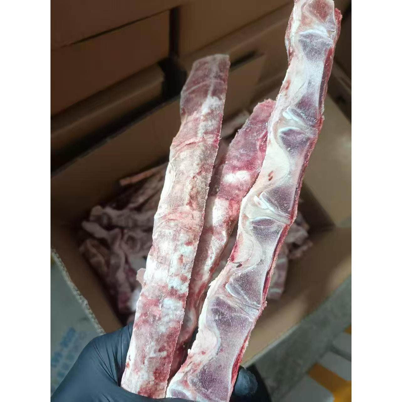 全骨牛骨头牛脊骨牛排边角磨牙熬狗风干零食/肉干/肉