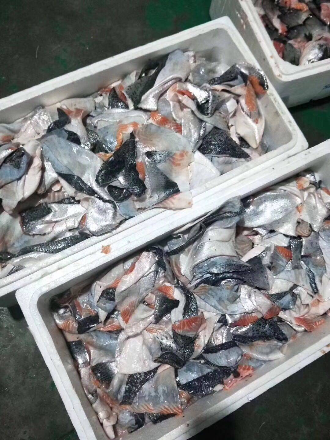 新鲜三文鱼边角料鱼皮喂狗宠用营养价值高做狗粮自制宠物零食风干,宠物/宠物食品及用品,狗风干零食/肉干/肉条,淘宝优惠券,粉丝福利购,淘宝优惠卷