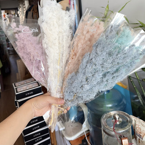 永生花蓬莱松diy花束拍照道具烟花花束软装干花配草手工白日焰火