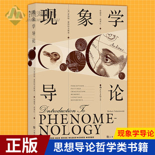 现货正版 现象学导论 Introduction to Phenomenology 一本面向现现象学领域主要学说思想导论哲学类书籍