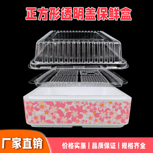 透明盖24cm正方形刺身姿造外卖保鲜半泡沫盒三文鱼海鲜鱼生打包盒