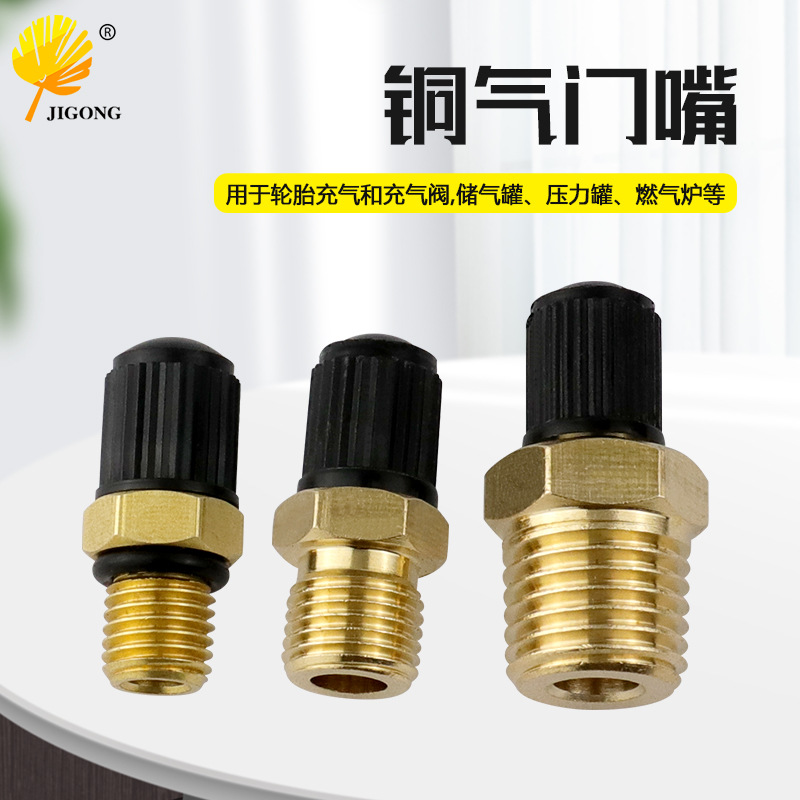 可定制汽车摩托自行车轮胎气门芯 1/8 NPT 1/4 NPT铜气门嘴 M8*1
