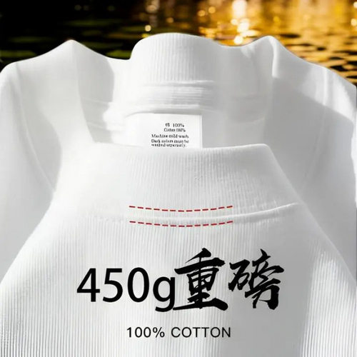 纯白450g重磅纯棉短袖T恤男女同款双纱厚实不透宽松舒适休闲T恤