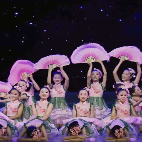 小荷风采舞蹈服我为祖国画朵花演出服蓬蓬裙表演服扇子纱裙舞蹈服