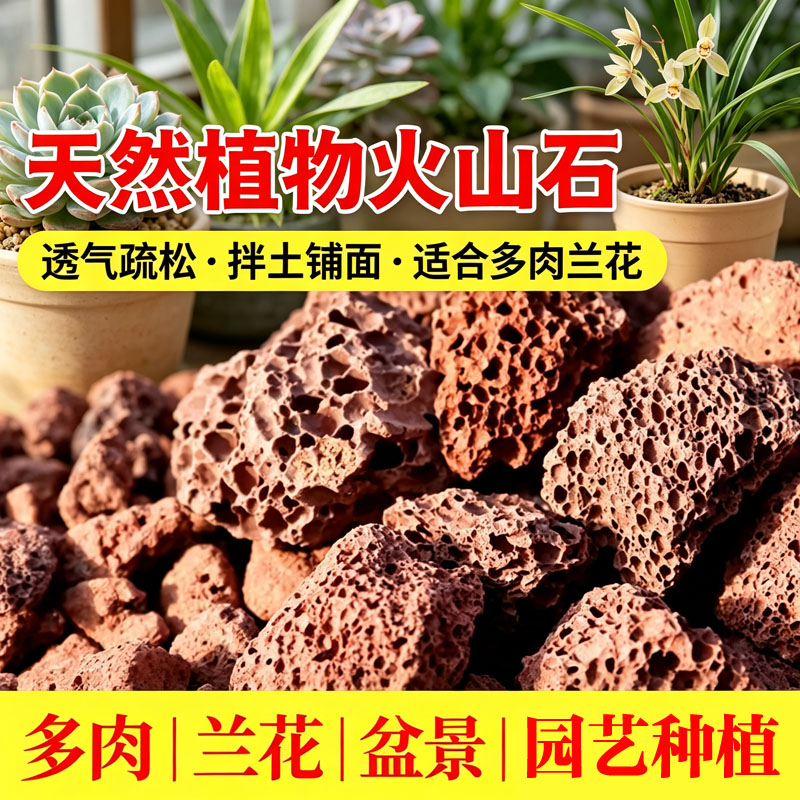 天然火山石多肉兰花盆景园艺种植透气疏松营养土配方介质