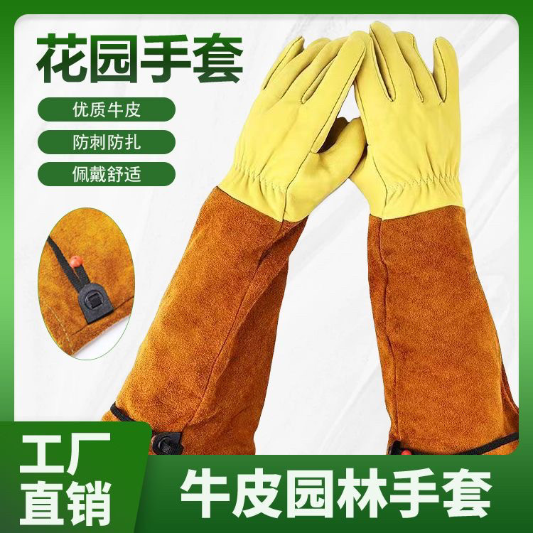 月季花修剪真皮防刺加长手套
