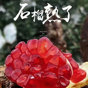 突尼斯软籽会理石榴当季 时令精品纯甜特大果新鲜现摘高端水果整箱