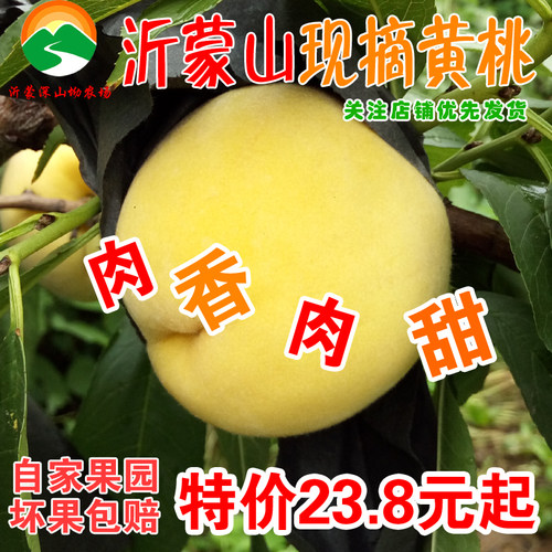 黄桃蜜桃新鲜水果黄毛桃桃子黄金蜜应季孕妇鲜果山东蒙阴5斤包邮