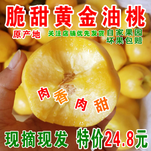 黄金油桃新鲜水果黄油桃蒙阴蜜桃