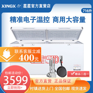 星星 XINGX 716E单温冷柜大容量商用保鲜柜超市节能冰箱