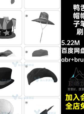 帽子笔刷abr brushset40款渔夫帽鸭舌帽iPad遮阳帽ps礼帽帽子40款